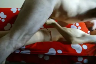 Live ABG Bispak Jakarta Hotel Bintang Lima Skandal Menggemparkan Viral